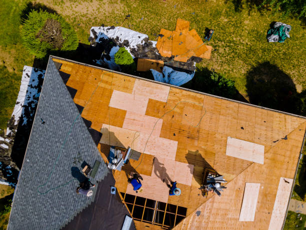 Best Roofing Contractor Near Me  in Mckinleyville, CA